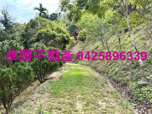 苗栗卓蘭農地-5