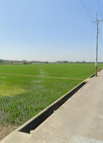 嘉義大林法拍農地-5