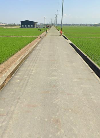 嘉義大林法拍農地-6