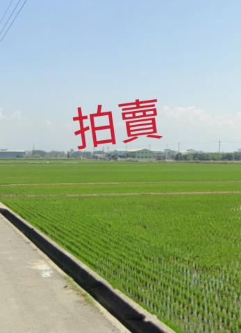 嘉義大林法拍農地-7