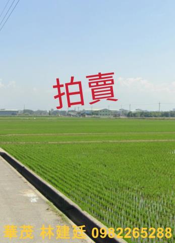 嘉義大林大林國小排路分校657坪農地