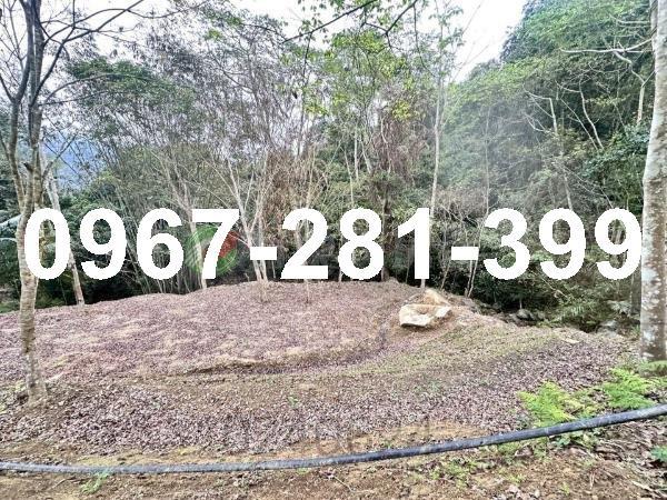 土地建地農地林地休閒地交通用地