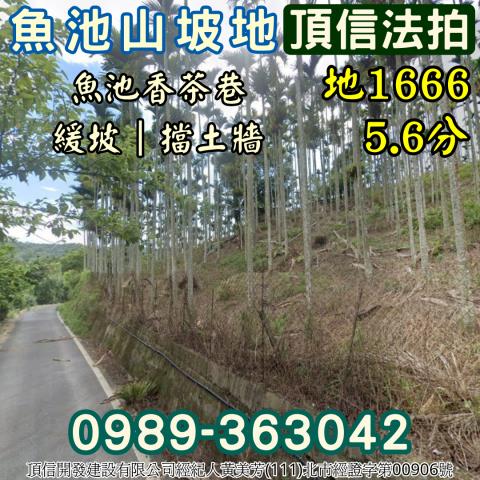 南投魚池法拍農地-1