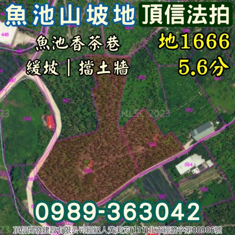 南投魚池法拍農地-6