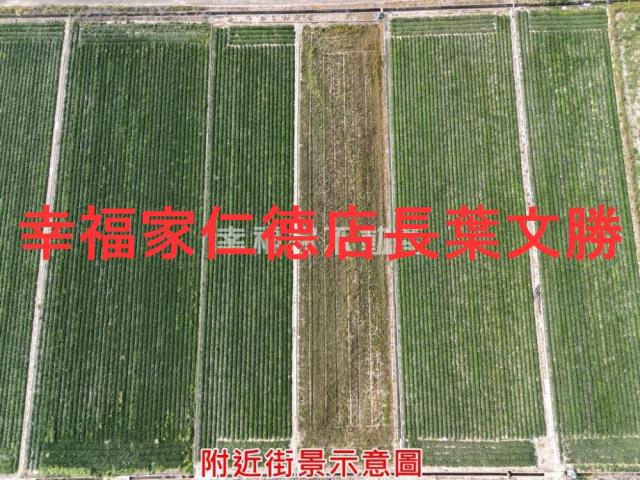 新化農地-2