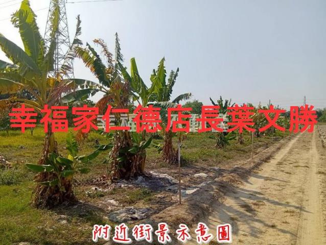 新市農地-12