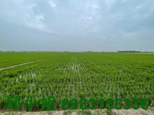 嘉義買房賣房房地合一稅建地農地