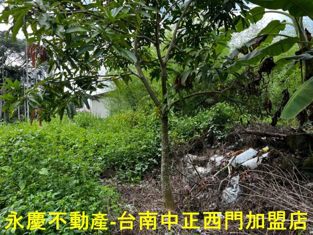 白河建地-4
