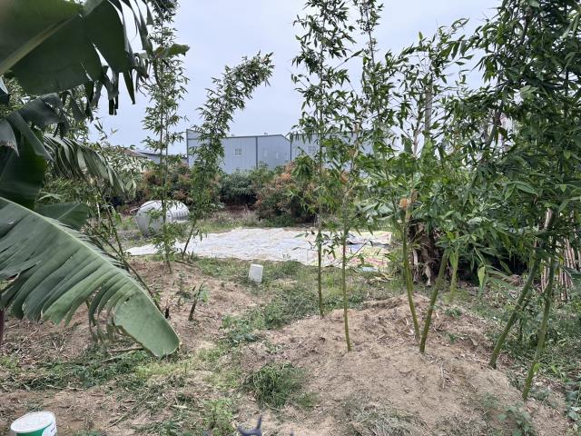 台南農地-0