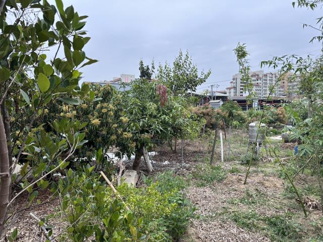 台南農地-4