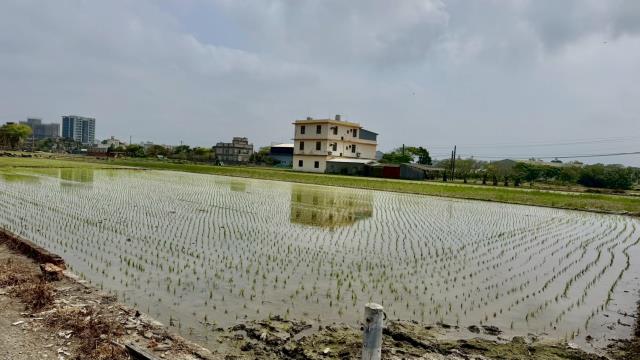 新竹竹北農地-7