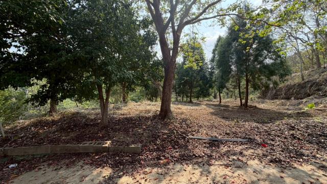 新竹北埔農地-2