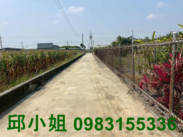 嘉義水上農地-1