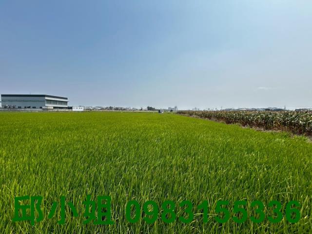 嘉義買房賣房房地合一稅建地農地