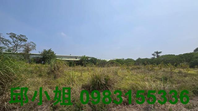 嘉義買房賣房房地合一稅建地農地