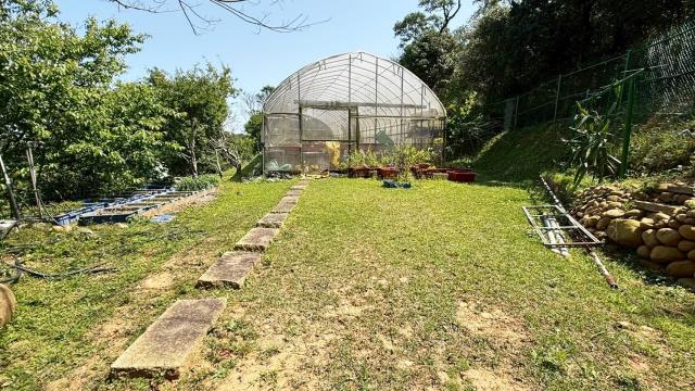 新竹關西農地-9