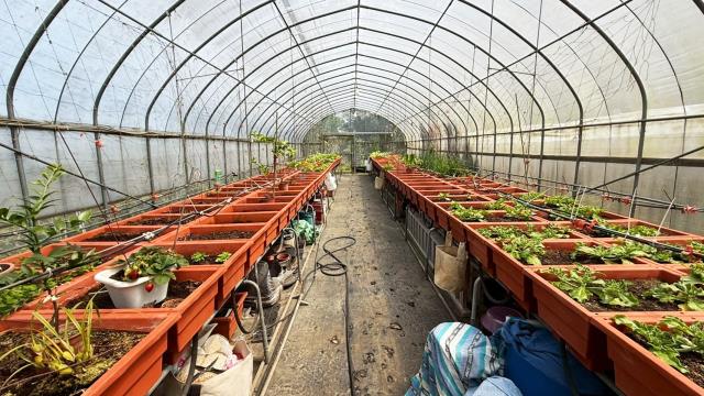 新竹關西農地-10