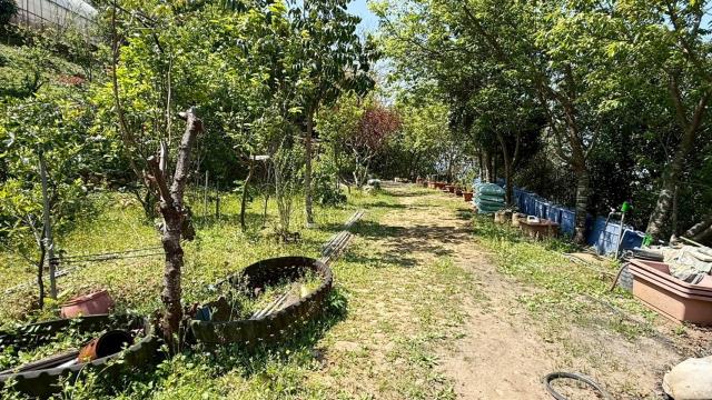 新竹關西農地-11