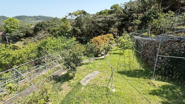 新竹關西農地-12