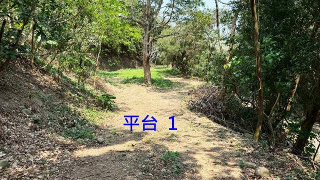 新竹關西農地-1