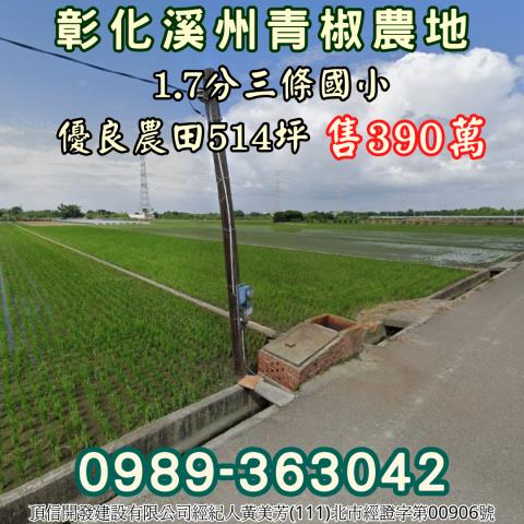 彰化溪州優良青椒農田開心農場抗通膨首選