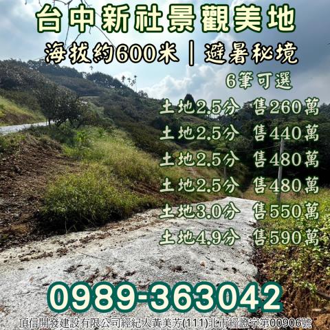 台中新社農地-9