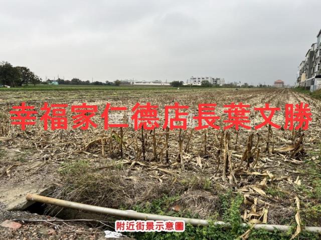 佳里農地-12