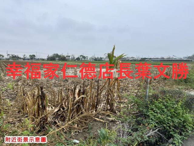 佳里農地-7