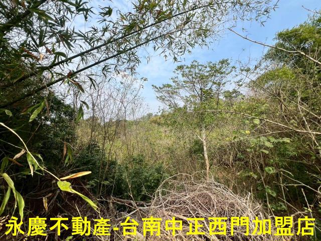 新化農地-6