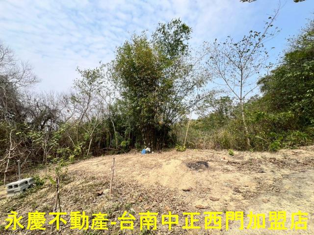 新化農地-7