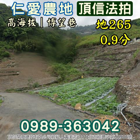 仁愛鄉法拍農地-1