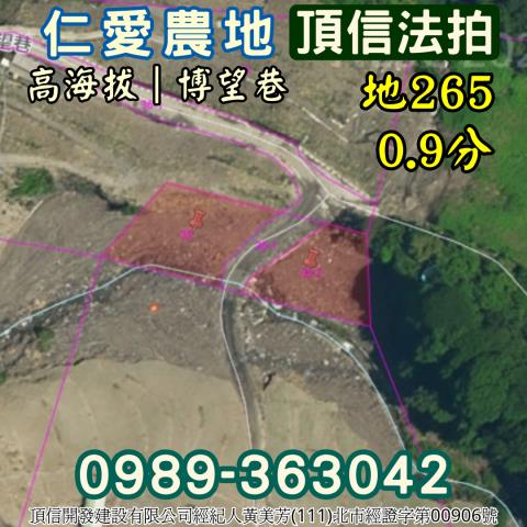 仁愛鄉法拍農地-4