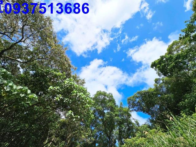 宜蘭頭城山坡地-9