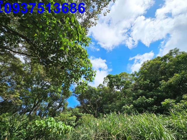 宜蘭頭城山坡地-13