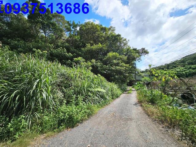 宜蘭頭城山坡地-14