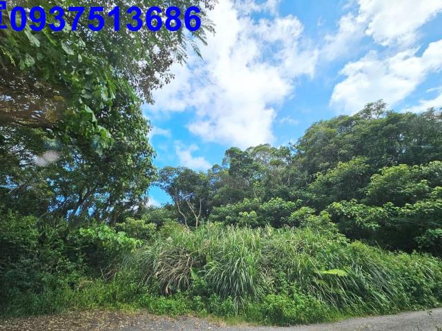 宜蘭頭城山坡地-2