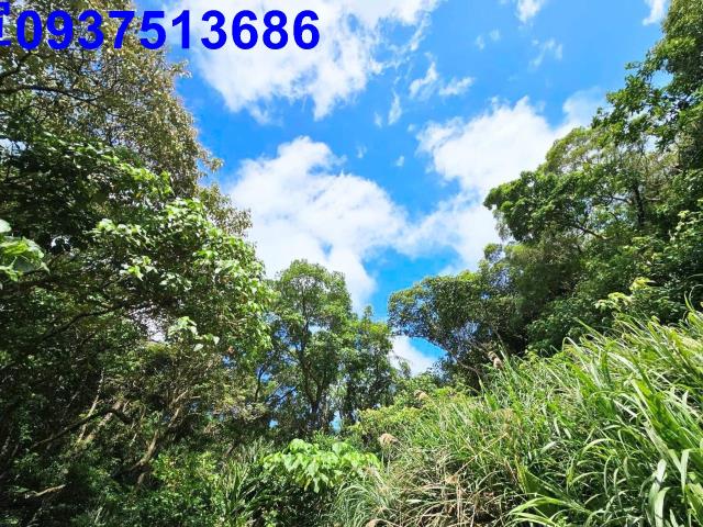 宜蘭頭城山坡地-8