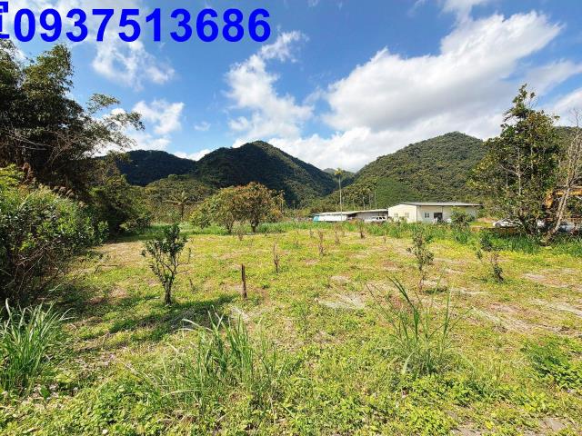 宜蘭員山農地-4