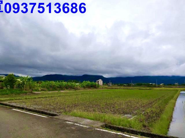 宜蘭三星農地-1