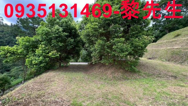 新竹北埔農地-13