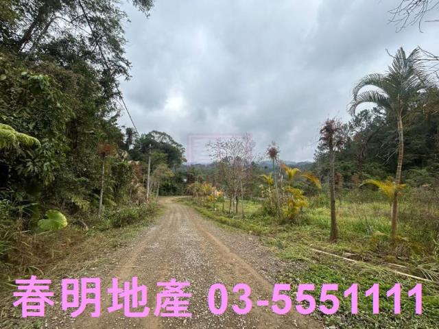 新竹橫山農地-5