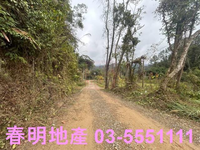 新竹橫山農地-6