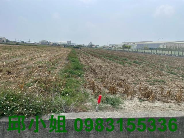 嘉義買房賣房房地合一稅建地農地