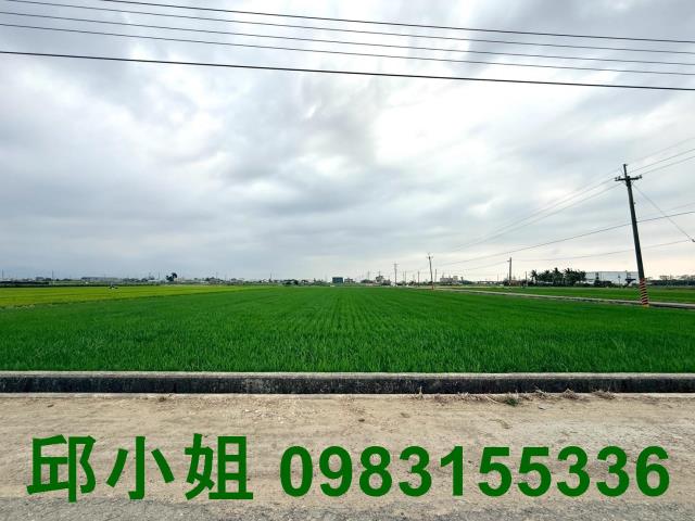 嘉義買房賣房房地合一稅建地農地