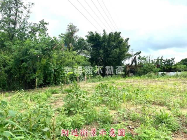 新化農地-11