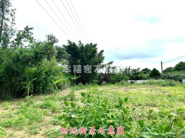 新化農地-12