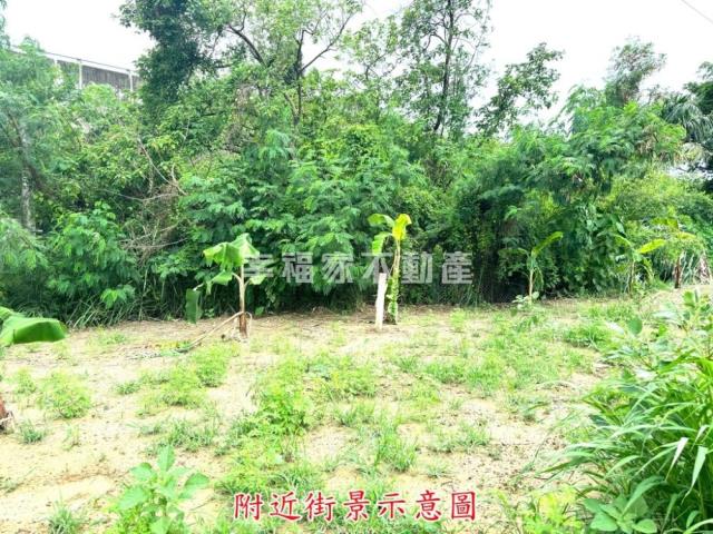 新化農地-13