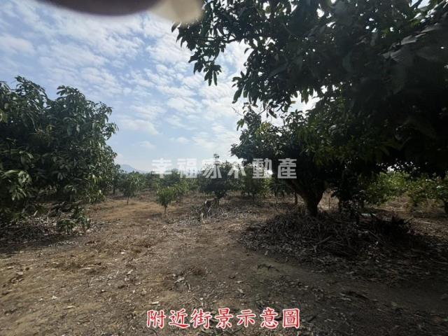 楠西農地-10