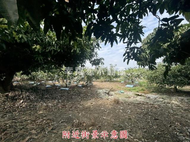 楠西農地-12