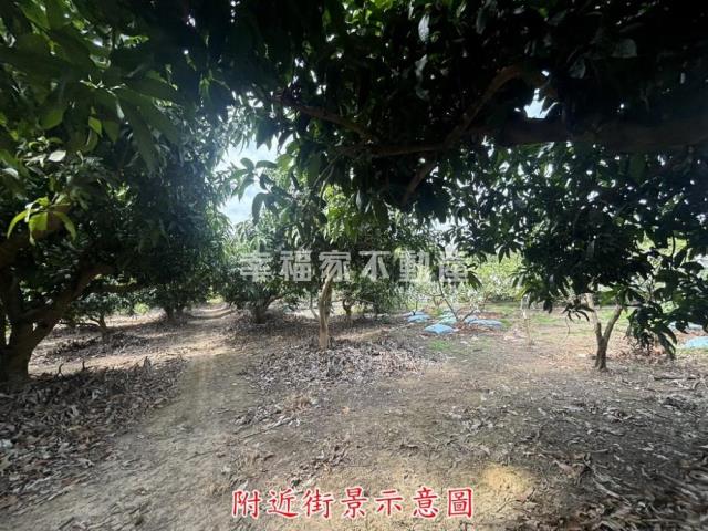 楠西農地-13